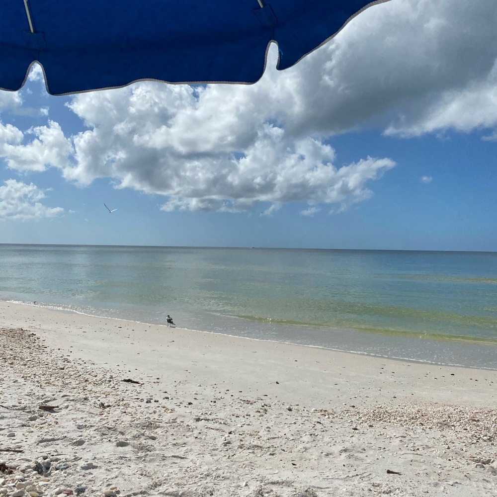 Meet your Posher, Mary kay